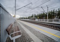 Sadowne Węgrowskie, fot. Tomasz Nizielski