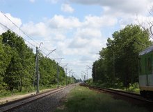 Tluszcz1