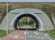 P1015949_Jasienica_Tomasz_Nizielski_02.09.2019r