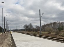 szewnica
